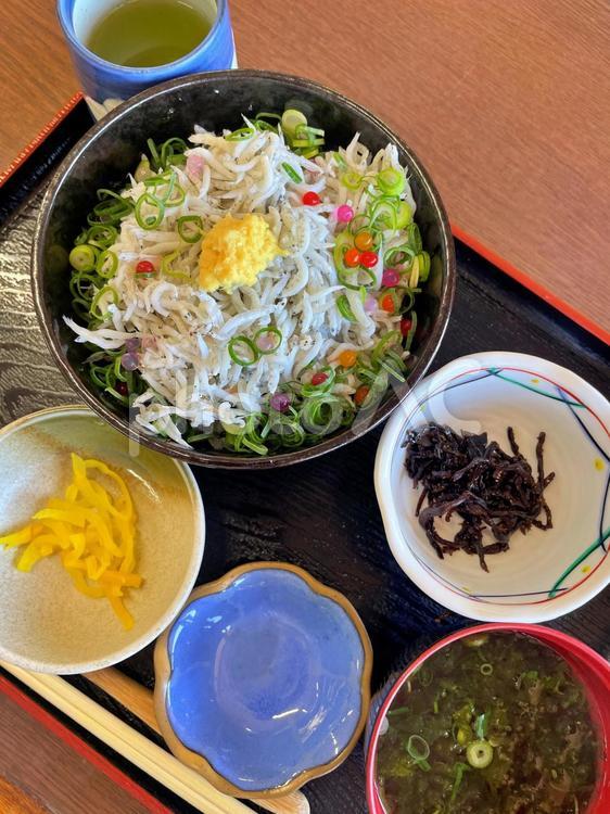 しらす丼♪海のそばのお店、新鮮おいしい しらす丼,シラス丼,しらすの写真素材