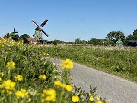 オランダ・ザーンセスカンスの風景 オランダ・ザーンセスカンスの風景 オランダ,ザーンセスカンス,ザーンセ・スカンスの写真素材
