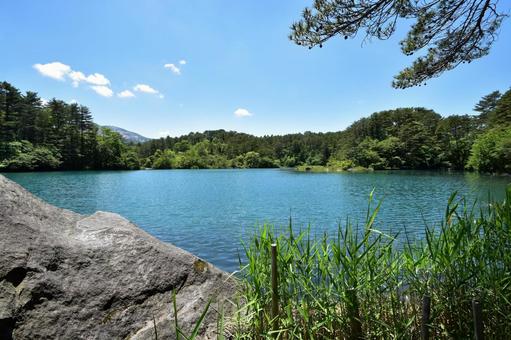 福島県、裏磐梯の五色沼の美しい青い沼 福島県、裏磐梯の五色沼の美しい青い沼 五色沼,福島,裏磐梯の写真素材