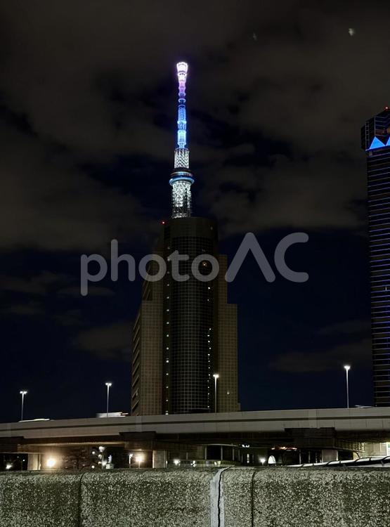 桜の季節の夜の隅田公園からの景色 ビル,夜空,ピンクの写真素材
