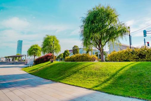 【新潟】信濃川付近の自然 【新潟】信濃川付近の自然の写真