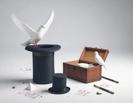 鳩とシルクハットのマジックショー 鳩とシルクハットのマジックショーの写真