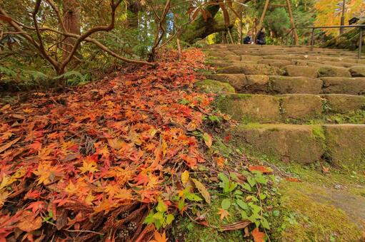 室生寺 室生寺,鎧坂,紅葉の写真素材