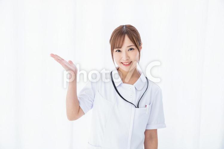 笑顔の看護師　smiling nurse 看護師,女性,女性看護師の写真素材