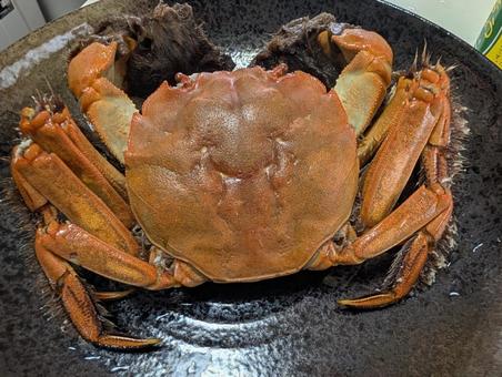 Boiled mitten crab, JPG Boiled mitten crab, JPG