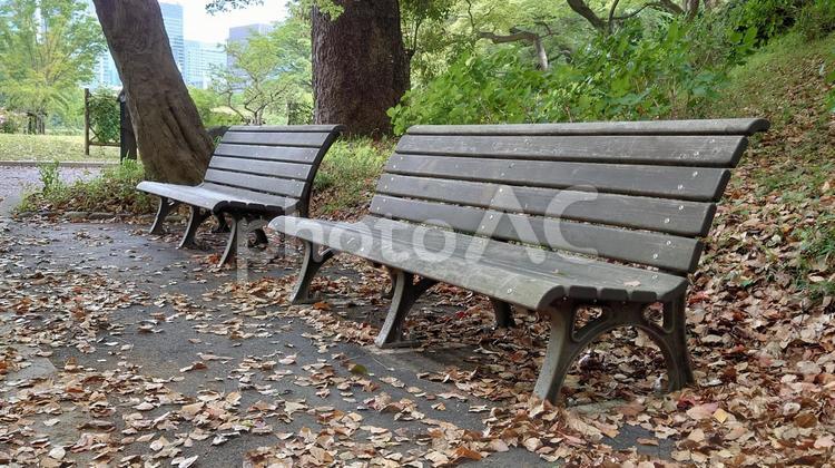 2つ並んだ木製の古いさびれたベンチ ベンチ,木製,２つの写真素材
