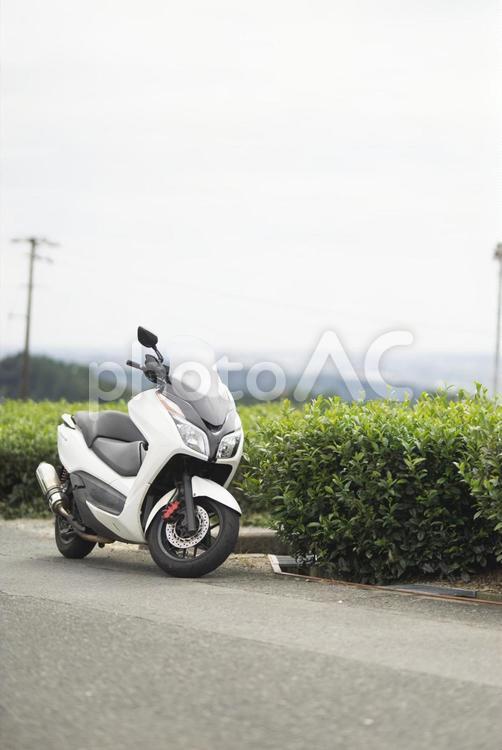 バイクツーリング中に茶畑で休憩 バイク,茶畑,スクーターの写真素材