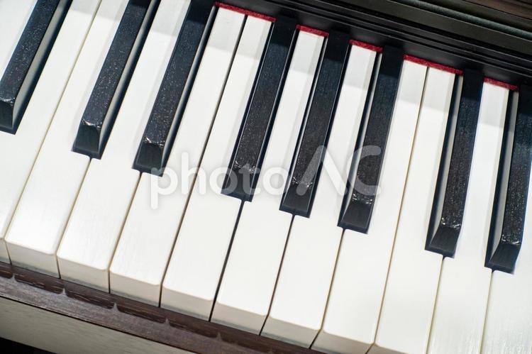 ピアノの鍵盤の写真。音楽のイメージ。 ピアノ,鍵盤,楽器の写真素材