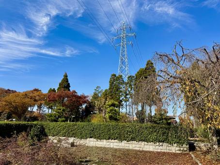 秋の昼間の紫式部公園　11月　紅葉 11月,昼間,カラフルの写真素材