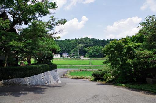 水田のある夏の田園風景 水田のある夏の田園風景 田園風景,田園,水田の写真素材