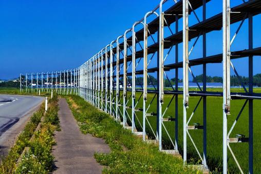 夏空広がる庄内平野と防雪柵の田園風景 夏空広がる庄内平野と防雪柵の田園風景 防雪柵,東北,山形県の写真素材