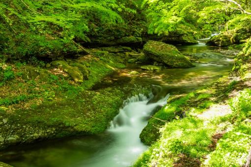 Fresh green of Anetaki ⑼, JPG