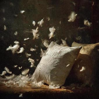 枕から舞い上がる羽根の幻想的な光景 枕から舞い上がる羽根の幻想的な光景の写真