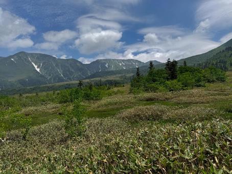 弥陀ヶ原から望む大日岳、奥大日岳 弥陀ヶ原から望む大日岳、奥大日岳の写真