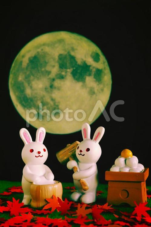 お月見の夜に餅つきをするウサギたち 十五夜,お団子,うさぎの写真素材