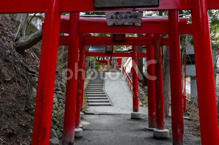 萬蔵稲荷神社⑸ 神社,萬蔵稲荷神社,神社仏閣の写真素材