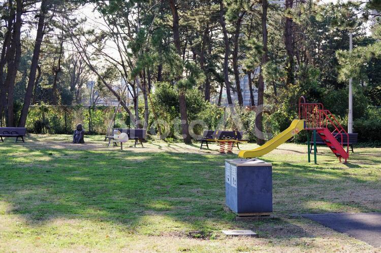 辰巳の森緑道公園の遊具 辰巳の森緑道公園,遊具,滑り台の写真素材