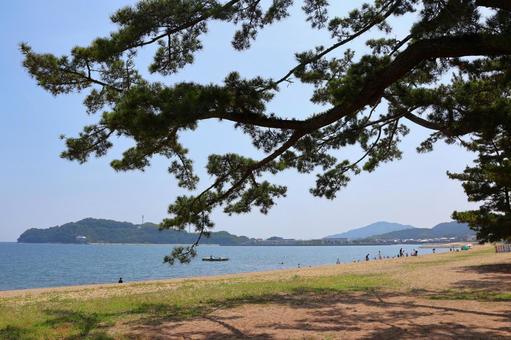 8月中旬のさぬき市津田の松原海水浴場 8月中旬のさぬき市津田の松原海水浴場の写真