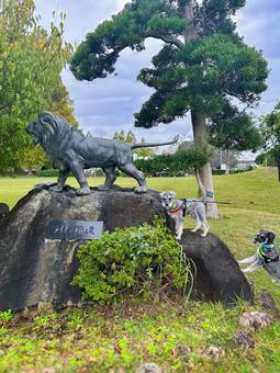 ライオンのオブジェとワンコの写真