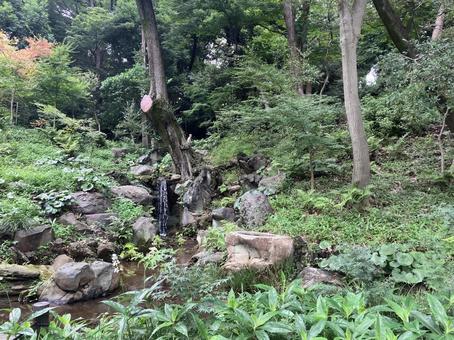 肥後細川庭園の庭園風景 肥後細川庭園の庭園風景の写真