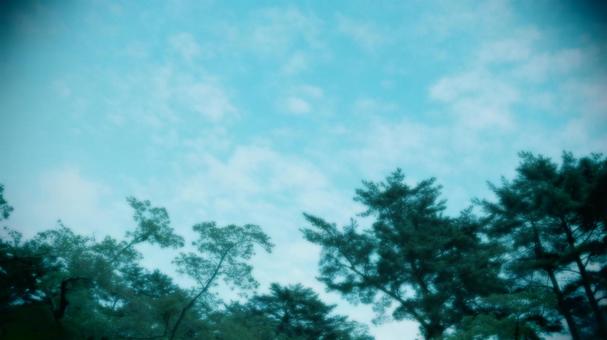空 空の写真