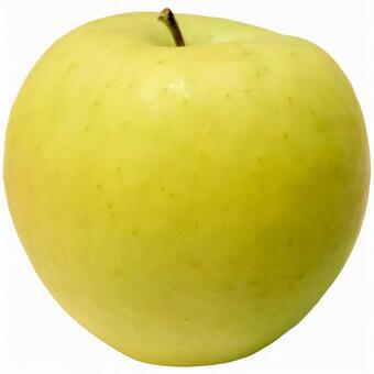 群馬名月の黄色いリンゴ 群馬名月,りんご,psdの写真素材