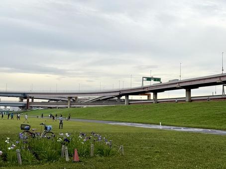 堀切水辺公園 荒川の河川敷 堀切水辺公園 荒川の河川敷の写真