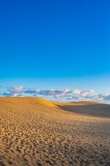 鳥取県　鳥取砂丘の風景 鳥取砂丘,日本の風景,自然の写真素材