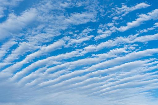 縞々な雲 変わった雲,青空,風景の写真素材