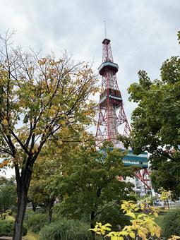 10月初旬さっぽろテレビ塔と創成川 10月初旬さっぽろテレビ塔と創成川 札幌,創成川,北海道の写真素材