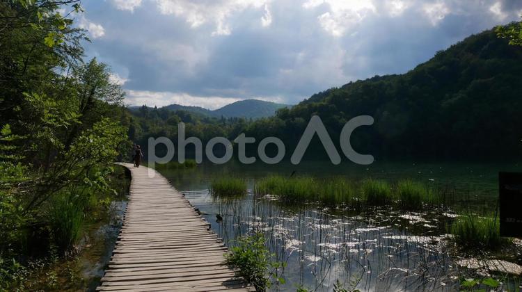 海外のキレイ自然３１ 自然,木,湖水の写真素材