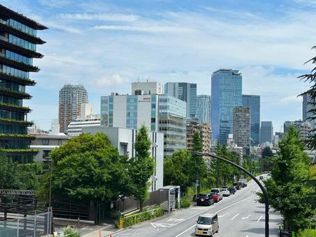原宿から渋谷方面の風景 原宿から渋谷方面の風景 原宿周辺,街路樹,ビルの写真素材