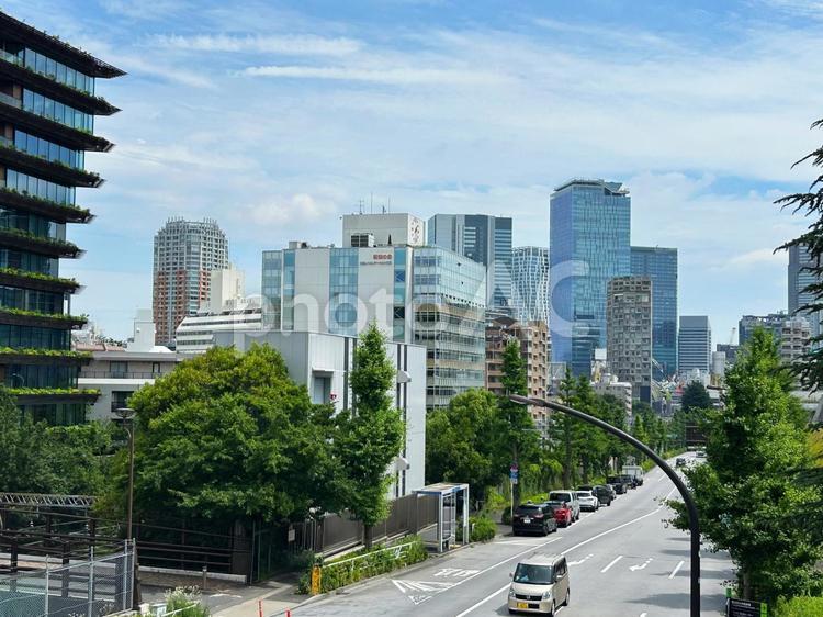 原宿から渋谷方面の風景 原宿周辺,街路樹,ビルの写真素材