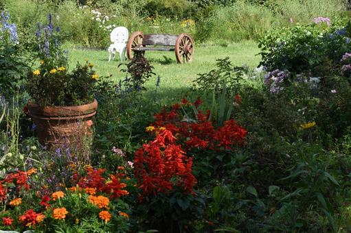 紫竹ガーデン 紫竹ガーデン,花,北海道の写真素材