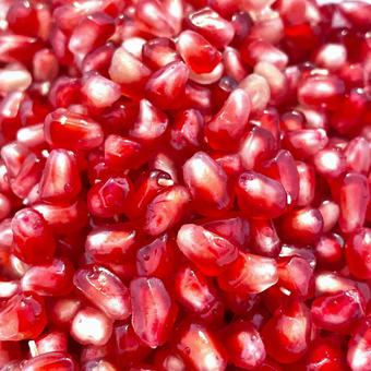 ざくろ 柘榴,粒々,ルビーの写真素材