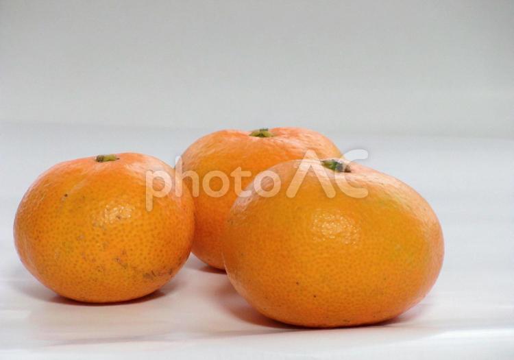 みかん三個 みかん,果物,三つの写真素材