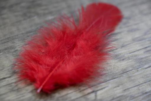 赤い羽根 赤い羽根 赤い羽根,募金,共同募金の写真素材