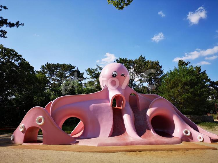 たこの滑り台 公園,遊具,滑り台の写真素材