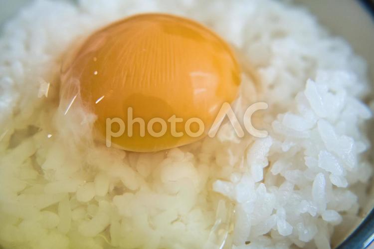 米価格高騰で贅沢食となりつつあるTKG tkg,ごはん,卵かけごはんの写真素材