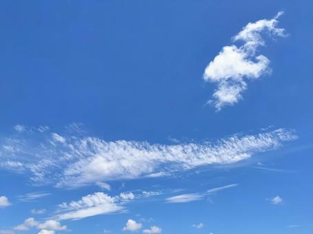 晴天の青空 晴天の青空の写真