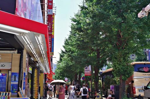 秋葉原2025夏 中央通り歩道にて 秋葉原2025夏 中央通り歩道にて 秋葉原,中央通り,歩道の写真素材