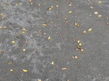 落ち葉のある地面 地面,落ち葉,秋の写真素材
