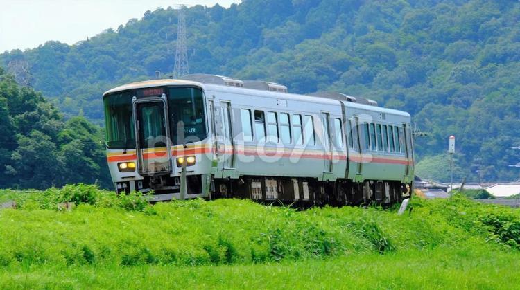 姫新線　東八崎ー播磨新宮間 姫新線,鉄道,列車の写真素材