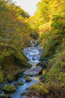 二口渓谷の紅葉⑴の写真