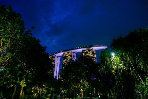 【シンガポール】マリーナベイサンズ シンガポール,ガーデンズバイザベイ,ガーデンの写真素材