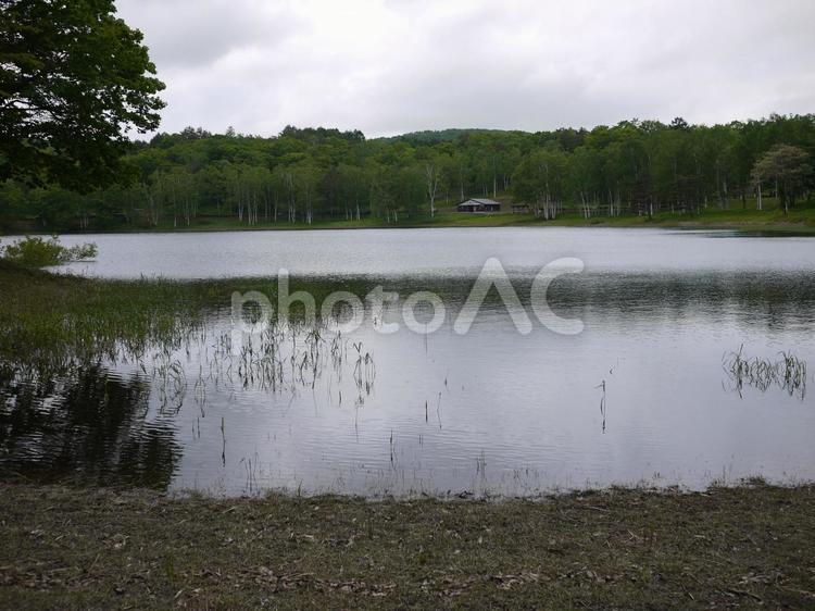 山の中の湖と自然の風景 自然,景色,景観の写真素材