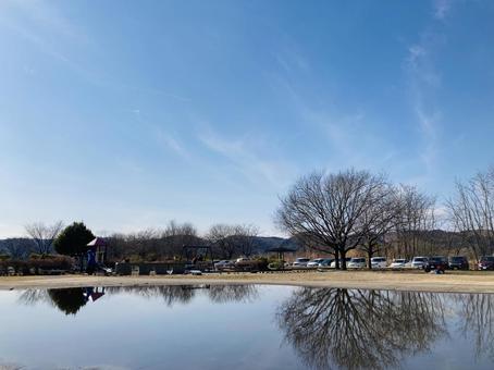 水面に映る木 水面に映る木の写真