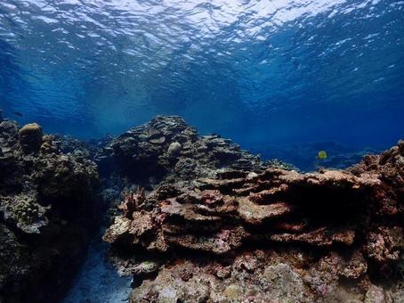 沖縄の海の写真