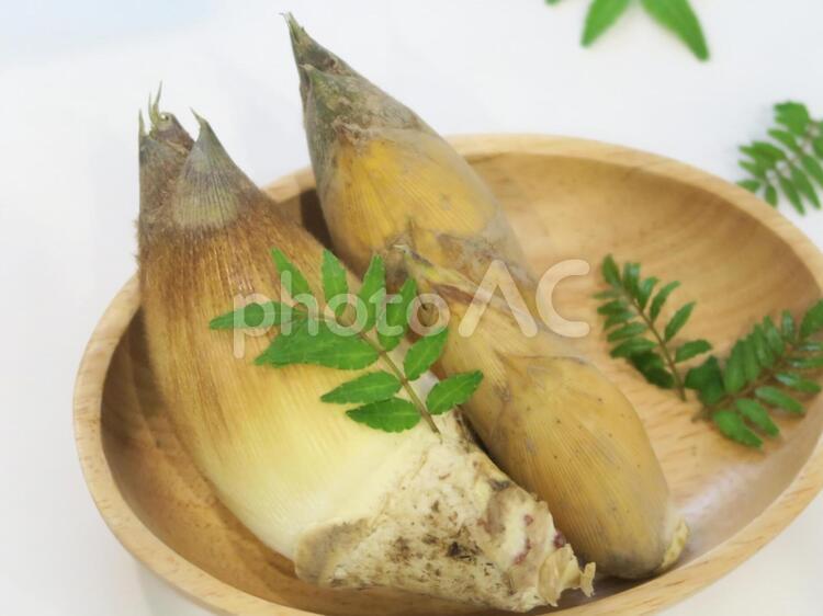 筍と山椒の葉 筍,タケノコ,たけのこの写真素材