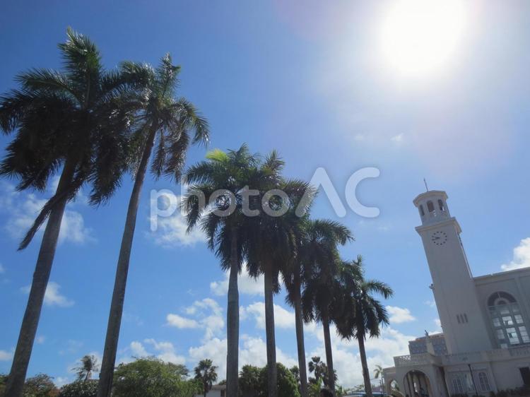 空とヤシの木 空,太陽,ヤシの木の写真素材